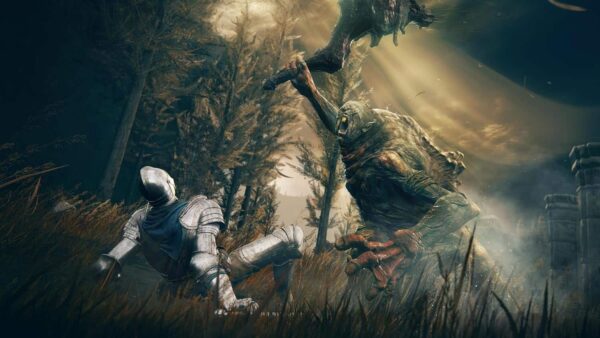 Elden Ring Shadow of the Erdtree Collector's Edition - Image 4