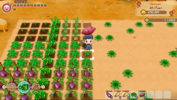 Harvest Moon : Friends of Mineral Town PlayStation 4 - Image 4