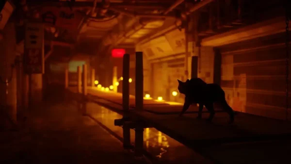 Stray PlayStation 5 - Image 5